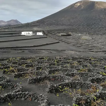 Papaya Playa Blanca (Lanzarote)